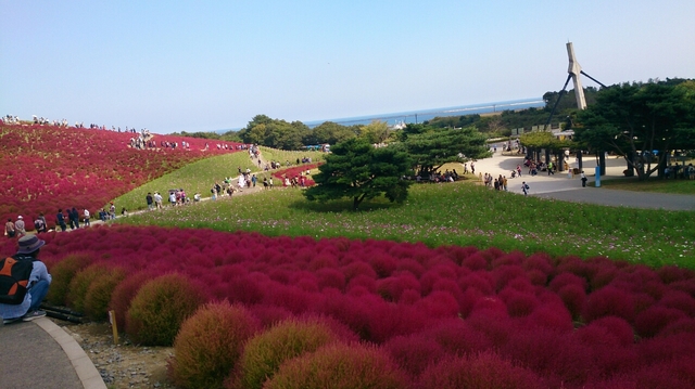 20151018160309813.jpg