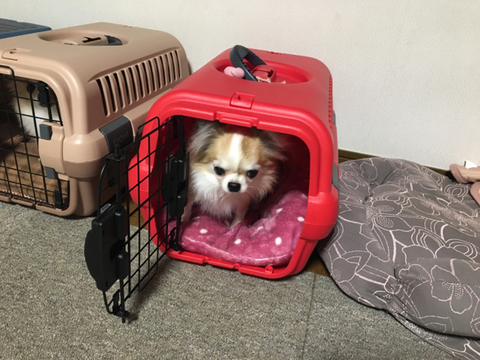 A9BD7C39-AF59-4896-AE19-CB31932C68A0.jpg
